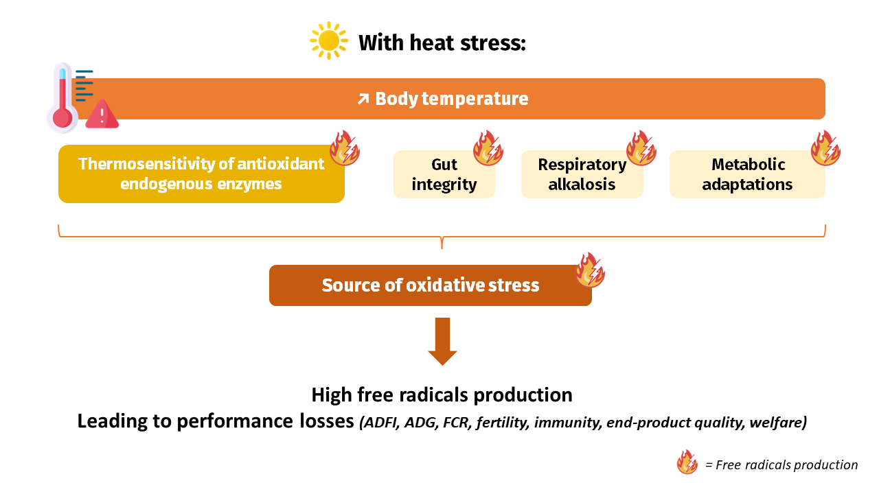 heat stress v3