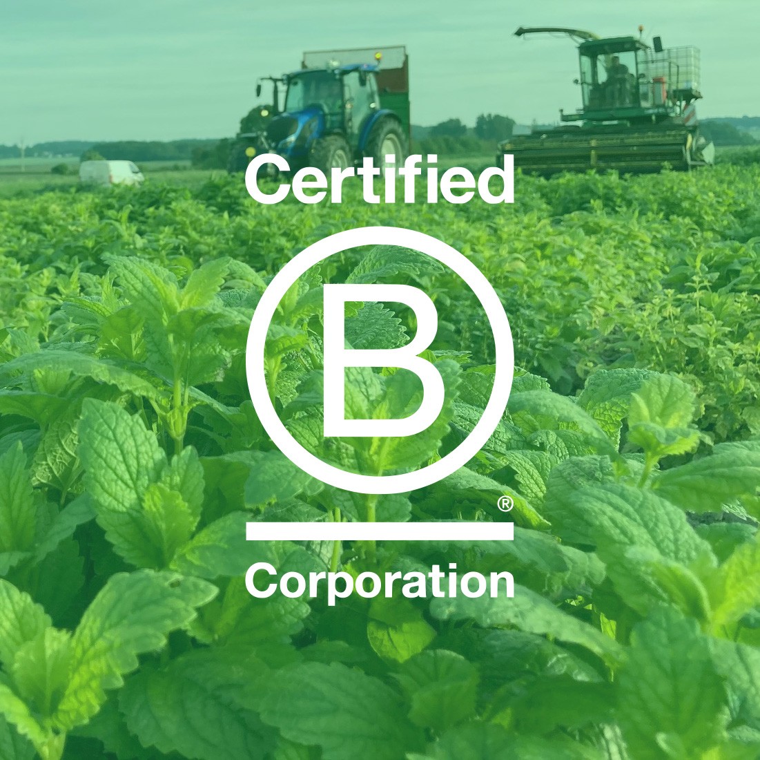 article bcorp thumbnail